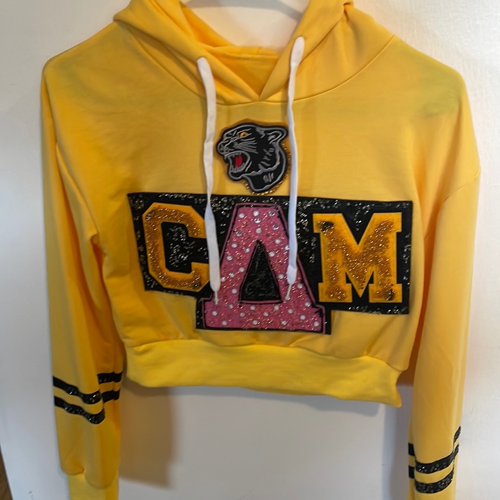 Beychella inspired hoodie! Cropped in great condition.